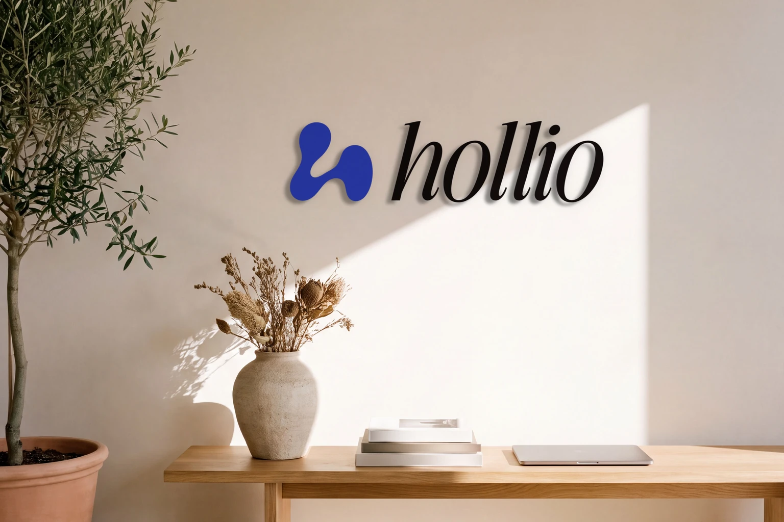 Hollio logo on a sunlit wall